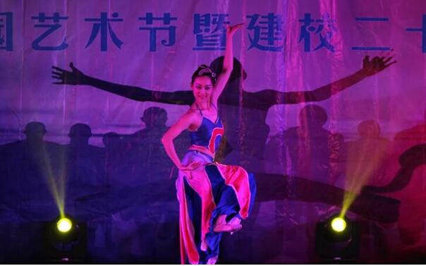 祝贺我校首届艺术节暨建校20周年晚会圆满举办(图5)