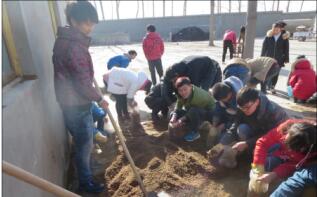 平菇的参观与实践(图3)