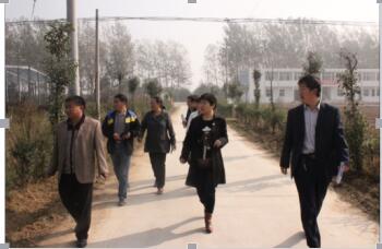 参观学习花生基地(图1)