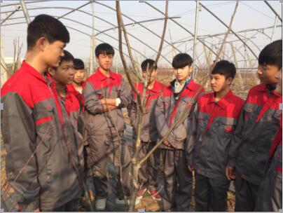 16生物外出实习(图4)