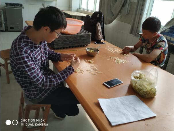 摸石头过河的最初时期(图1)