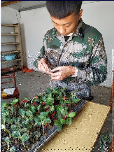 紧张而有序地练习(图1)