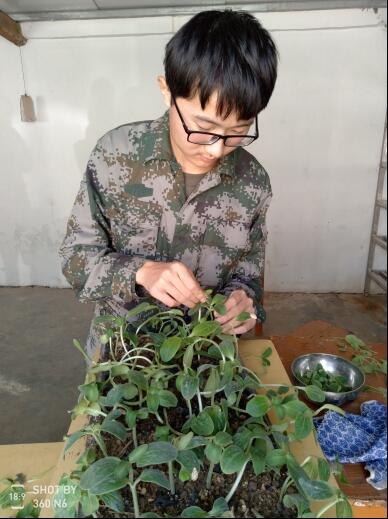紧张而有序地练习(图2)