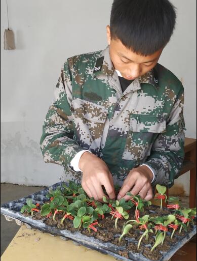 紧张而有序地练习(图4)