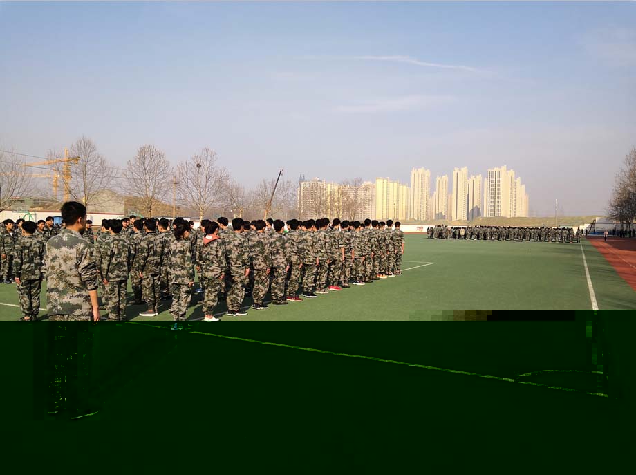 军事教育课(图1)