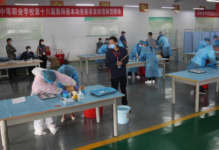 郑州中职学校十六届教师基本功竞赛农林牧渔类比赛(图4)