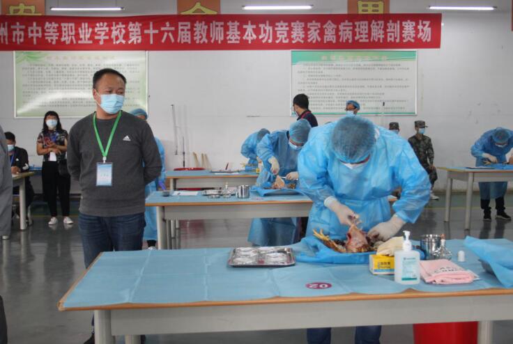 郑州中职学校十六届教师基本功竞赛农林牧渔类比赛(图7)