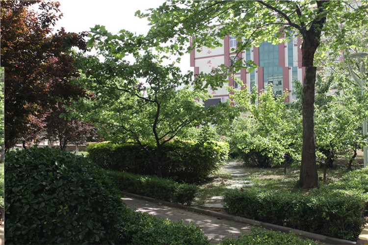 学校花园(图1)