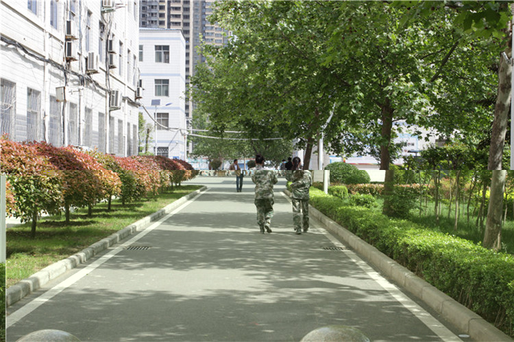 校园小路(图1)