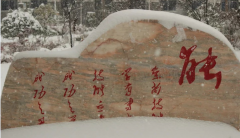 美石上的文化(图1)